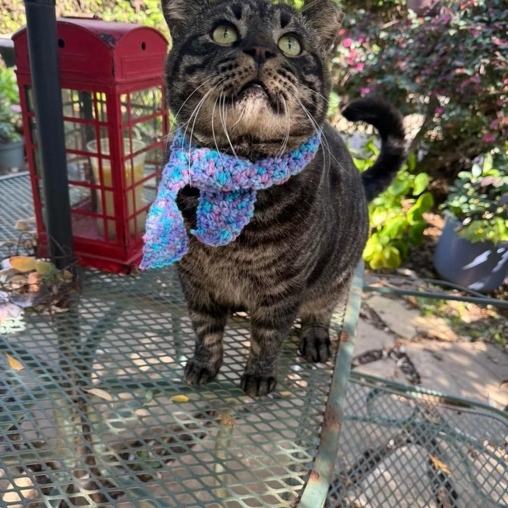 Adorable Handmade Blue and Purple Cat / Dog Scarf